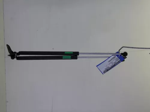 Set Gasdempers Achterklep-7885134 (7921846)