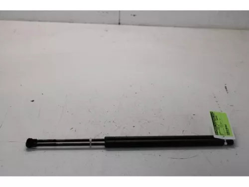 Set Gasdempers Achterklep-7878047 (13850802)