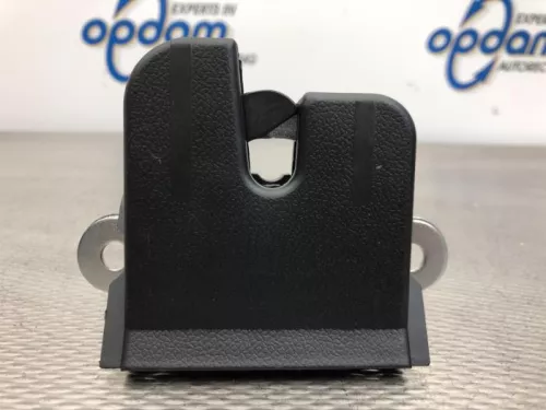 Slotmechaniek Achterklep-