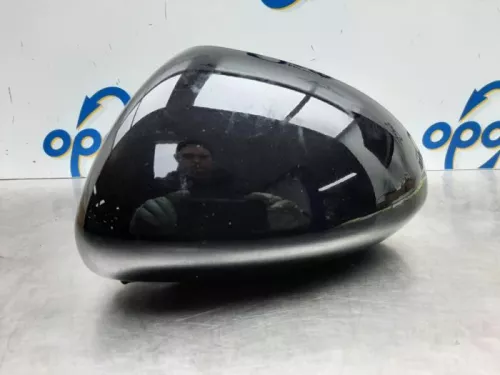 Spiegelkap links-7582598 (16283909)