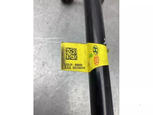 Stabilisatorstang achter-8192977 (21092862)