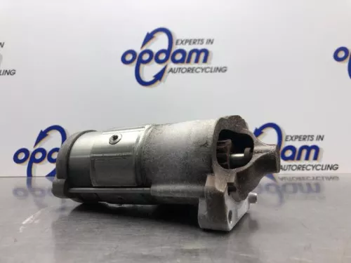 Startmotor-8100955 (21040244)