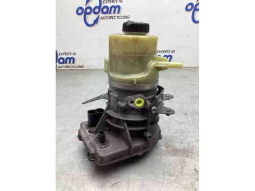 Stuurbekrachtiging Pomp-8252146