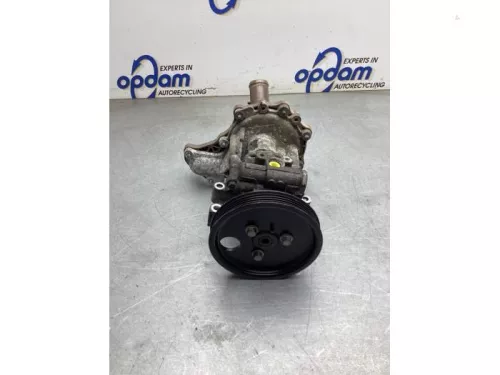 Stuurbekrachtiging Pomp-8180900 (22665798)