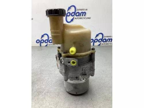 Stuurbekrachtiging Pomp-8186862 (21490267)