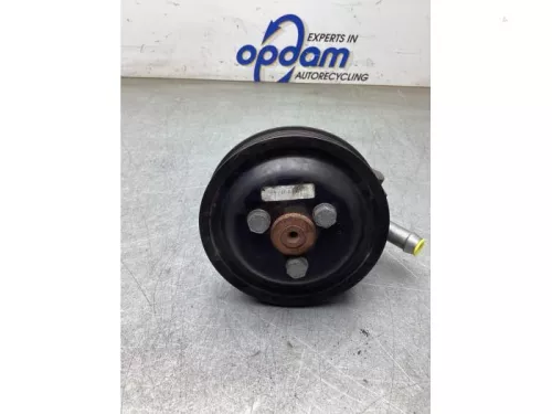 Stuurbekrachtiging Pomp-8284463 (22392118)