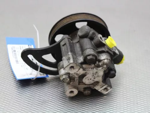 Stuurbekrachtiging Pomp-7581025 (10113731)
