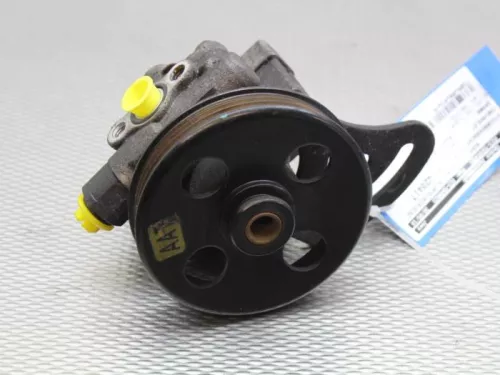 Stuurbekrachtiging Pomp-7581025 (10113731)
