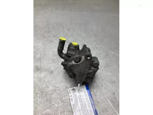 Stuurbekrachtiging Pomp- (22473250)