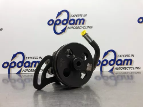 Stuurbekrachtiging Pomp-8181460 (20743669)