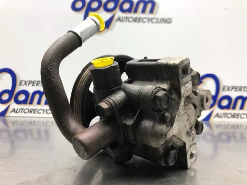 Stuurbekrachtiging Pomp-8181460 (20743669)