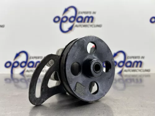 Stuurbekrachtiging Pomp-8300918 (22364424)