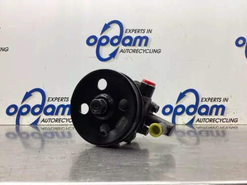 Stuurbekrachtiging Pomp-8131531