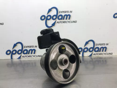 Stuurbekrachtiging Pomp-8136466
