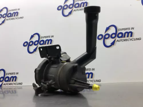 Stuurbekrachtiging Pomp-8146887 (21748158)