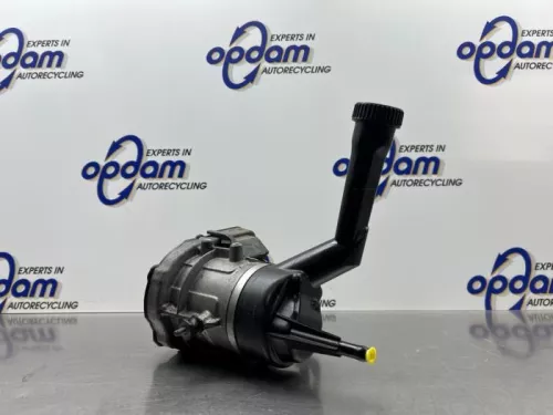 Stuurbekrachtiging Pomp-8300700 (22305281)