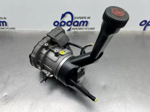 Stuurbekrachtiging Pomp-8300700 (22305281)