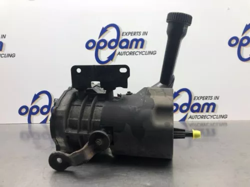 Stuurbekrachtiging Pomp-8108186 (20636065)