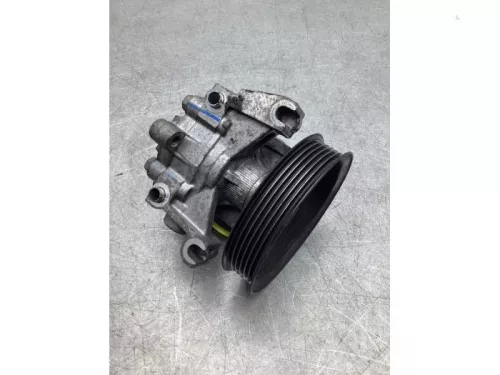 Stuurbekrachtiging Pomp-7989068 (18403611)