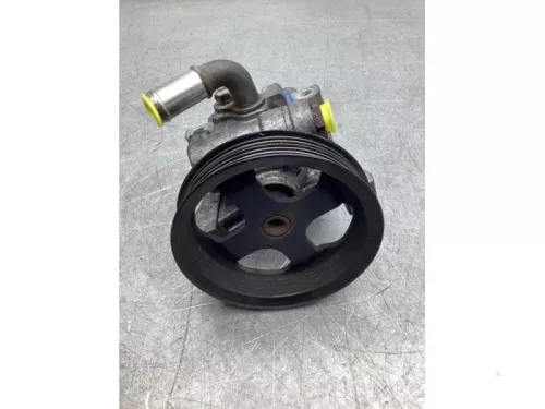 Stuurbekrachtiging Pomp-7989068 (18403611)