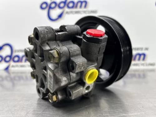 Stuurbekrachtiging Pomp-8301318 (22418418)