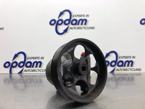 Stuurbekrachtiging Pomp-8133834 (21031269)