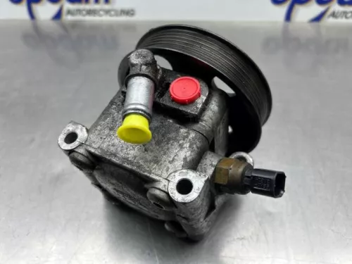 Stuurbekrachtiging Pomp-8313867 (22532243)