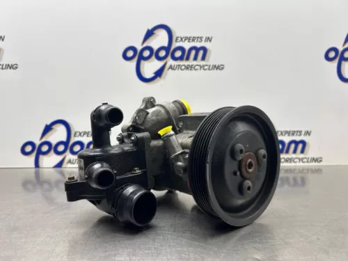 Stuurbekrachtiging Pomp-8309861 (22565783)