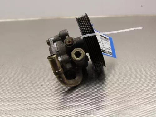 Stuurbekrachtiging Pomp-7888249 (6105718)