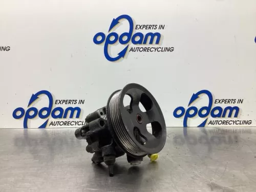 Stuurbekrachtiging Pomp-7936006