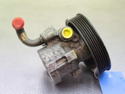 Stuurbekrachtiging Pomp-7884688