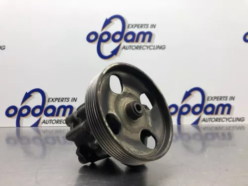 Stuurbekrachtiging Pomp-8180877 (20596124)