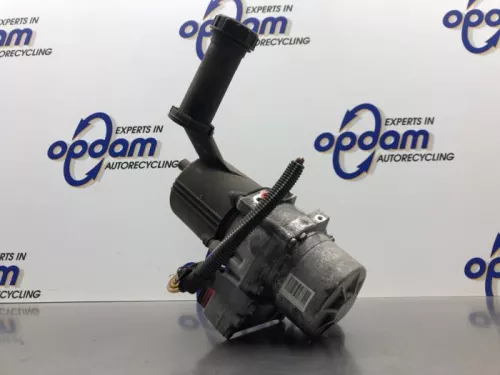 Stuurbekrachtiging Pomp-8257786 (21641728)