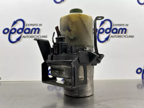 Stuurbekrachtiging Pomp-8309854 (22478989)