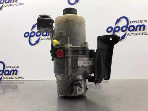 Stuurbekrachtiging Pomp-8254207 (21580967)