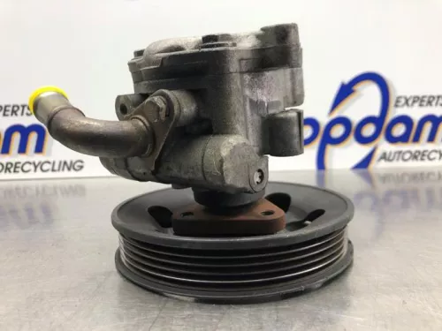 Stuurbekrachtiging Pomp-8205745 (21017774)