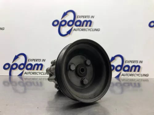 Stuurbekrachtiging Pomp-8242847 (21554903)