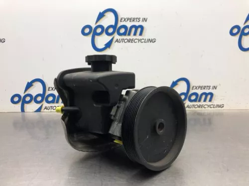 Stuurbekrachtiging Pomp-8156930