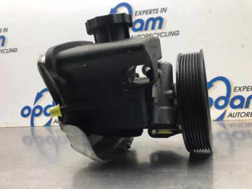 Stuurbekrachtiging Pomp-8156930 (20478244)