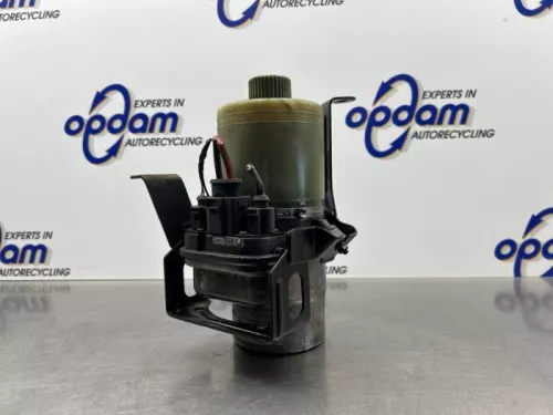 Stuurbekrachtiging Pomp-8273960