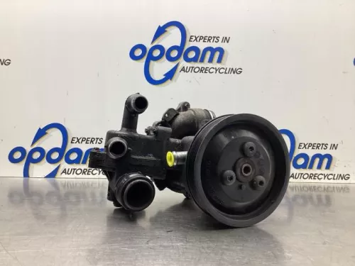 Stuurbekrachtiging Pomp-8066765