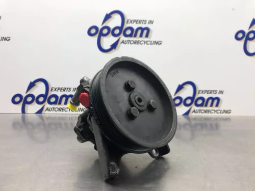 Stuurbekrachtiging Pomp-8220425