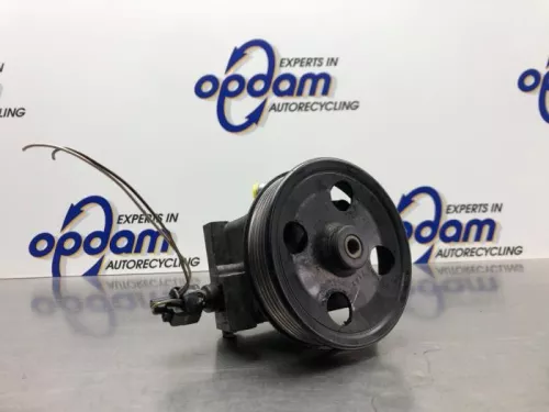 Stuurbekrachtiging Pomp-8245552