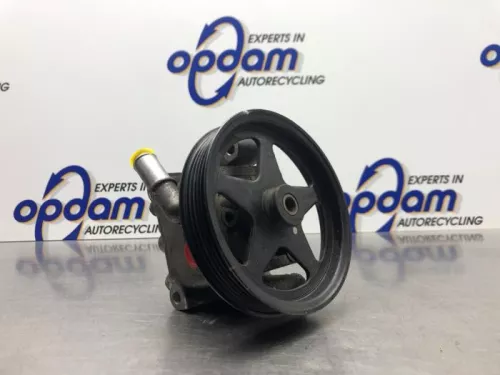 Stuurbekrachtiging Pomp-8158156 (21140111)