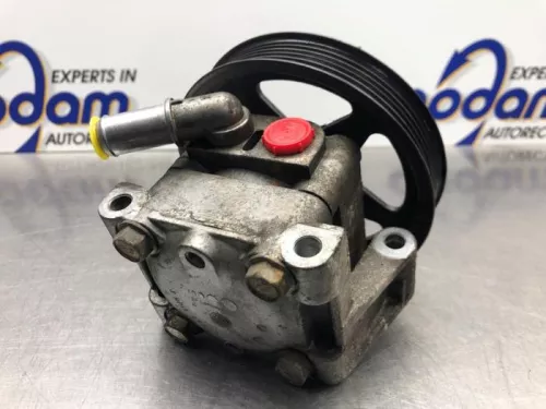 Stuurbekrachtiging Pomp-8158156 (21140111)