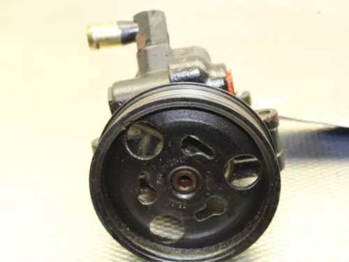 Stuurbekrachtiging Pomp-7891401 (6692915)