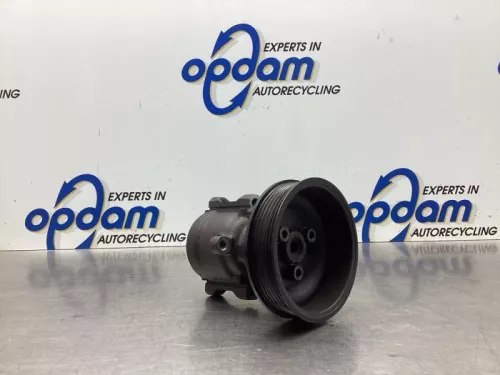 Stuurbekrachtiging Pomp-8029176