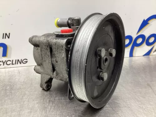 Stuurbekrachtiging Pomp-7987006 (18105559)