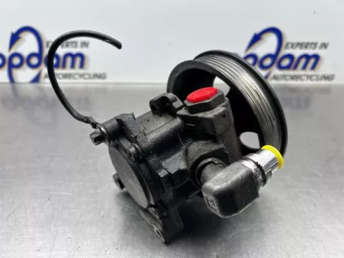 Stuurbekrachtiging Pomp-8311300 (22458970)