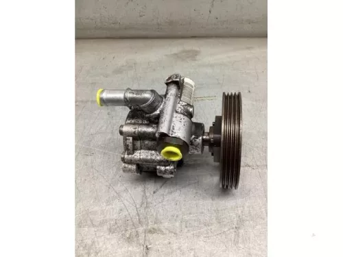 Stuurbekrachtiging Pomp-8177021 (21761007)
